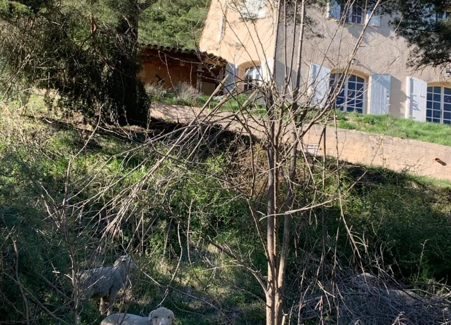 Gite Des Restanques Soleilhas 0*,  Frankrike